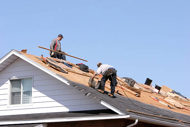 Best Roof Insulation Installation  in Brewton, AL